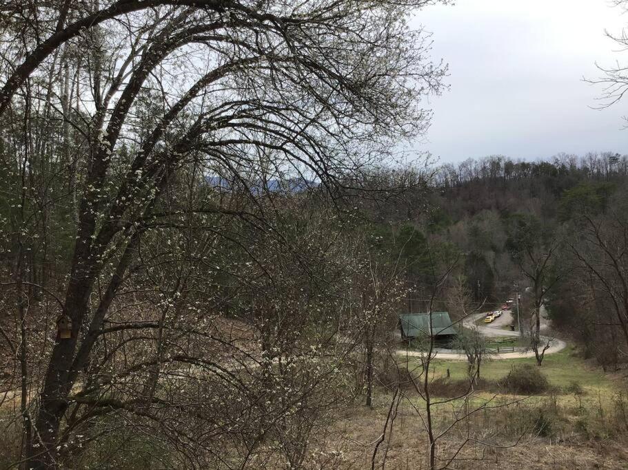 Dollywood-Brand New Dancing Bear 4 Pigeon Forge Exterior foto
